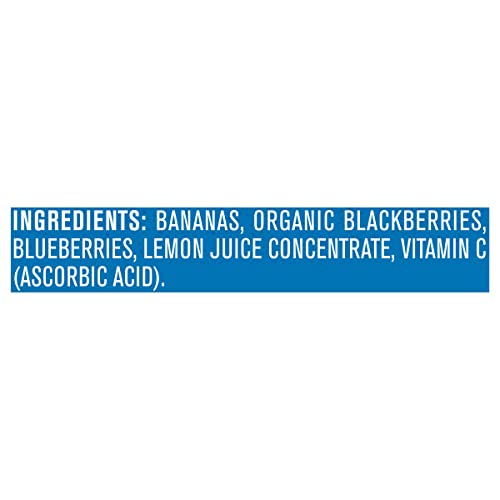 GERBER WONDER BABY FOODS BANANA BLACKBERRY BLUEBERRY, 4 OZ, 2 CT TUBS