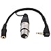 LyxPro XLR Female to TRRS, Connects Professional XLR Microphones to iOS, iPhone, iPad, and iPod Includes Output for Headphones, Small (10 Inches)