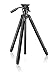 Zeiss Tripod Professional