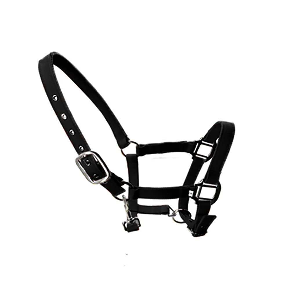 tooloflife Black-Medium Adjustable Horse Print Padded Headcollars Nylon Equestrian Headcollar for Foal, Pony, Donkey