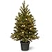 National Tree 3 Foot Feel Real Jersey Frasier Fir Entrance Tree with 35 Warm White Battery Operated LED Lights in Growers Pot (PEJF1-306-30-B)