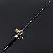 Ouguan Pocket Size Pen Shaped Collapsible Fishing Rod Pole and Spinning Reel Combo (Black)