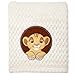 Disney Lion King Popcorn Coral Fleece Blanket , 30x40 Inch (Pack of 1)