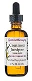 Gemmotherapy Common Juniper (Juniperus Communis) 1DH Boiron