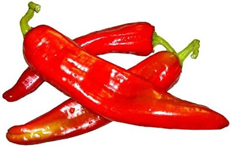 New Mex Big Jim Chilli Pepper 10 x Seeds