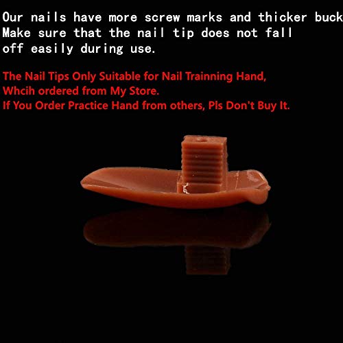 200 Pcs False Nail Tips DIY Nail Training Manicure Tool Nail Art Tips PP Material Original Type Accessory for Practice Hand Removable Practice False Nail Tips for Training