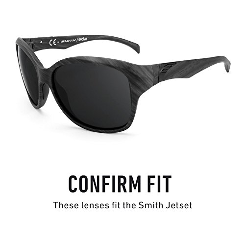 Revant Replacement Lenses for Smith Jetset Polarized Titanium MirrorShield