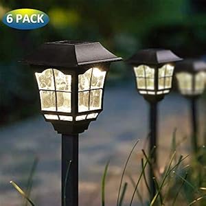 Solar lights lining a garden path