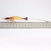 Wannabuy-Artificial-Silicone-Soft-Bait-Set-Luminous-Shrimp-Fishing-Lure-with-Hook-Fishing-Tackle-Freshwater-Saltwater3pcslot-85cm-6g Wannabuy-Artificial-Silicone-Soft-Bait-Set-Luminous-Shrimp-Fishing-Lure-with-Hook-Fishing-Tackle-Freshwater-Saltwater3pcslot-85cm-6g