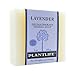Plantlife Lavender 6-pack Bar Soap - Moisturizing and Soothing Soap for Your Skin - Hand Crafted Using Plant-Based Ingredients - Made in California 4oz Bar