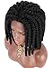 Kalyss Short Off Black Kanekalon Synthetic Twist Crochet Braids Hair Wigs for Black Women Middle Parting 100% Hand Tied Ear to Ear Lace Front Wigs,12 inches 10.58oz