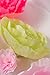 Paper Flower Decorations, Large Crepe Paper Flowers, Handcrafted Flowers, Giant Paper Flowers (Green, Pink, Set of 6 ) for Wedding Backdrop, Nursery Wall Decorations, Bridal Shower Decor, Baby Shower