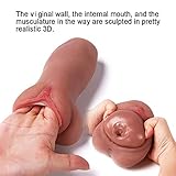 0.83lbs Man's Life-Size Torso Doll 3D Realistic TPE Silicone Doll Adult Toy Male Toy Safe Material, Super Soft 3D Real Cup Toy Man's Woman's Gift Couple Boyfriend's Husband Tan Skin