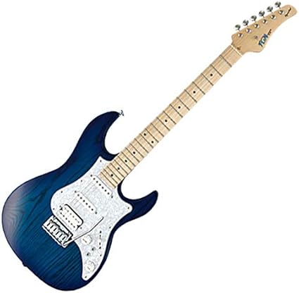 Amazon Co Jp Fujigen Eos Ash M Sbb 06 Expert Odyssey Series Electric Guitar Musical Instruments