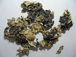 Amazon Com Dagad Phool Pathar Phool Or Black Stone Flower 50gram Indian Seasoning Grocery Gourmet Food