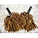 Fun Express Value Pack: Metallic Gold Cheerleader pom poms - Cheerleading Special! [misc.]