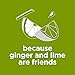 Diet Coke Ginger Lime, 12 fl oz, 8 ct
