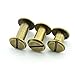 RuiLing 60 Sets 5mm Bronze Chicago Screws Assorted Kit Screw Posts Metal Accessories Nail Rivet Chicago Button for DIY Leather Decoration Bookbinding Slotted Flat Head Stud Screw (1/4