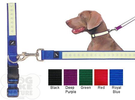 nite lite collars