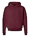 Hanes ComfortBlend® EcoSmart® Pullover Hoodie Sweatshirt