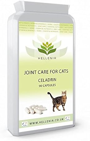 joint care for cats