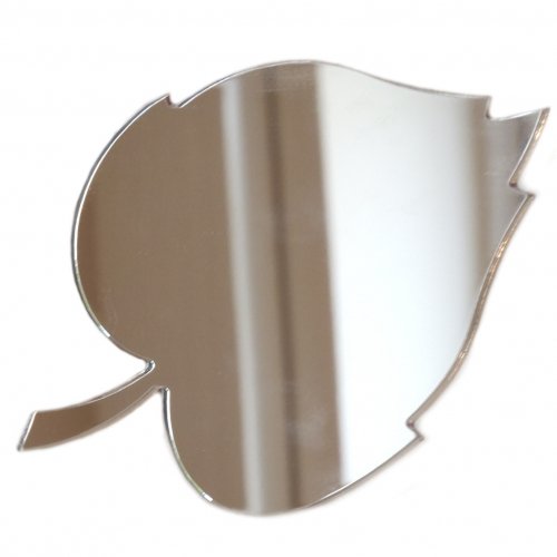 Super Cool Creations Leaf Mirrors - 45cm x 38cm