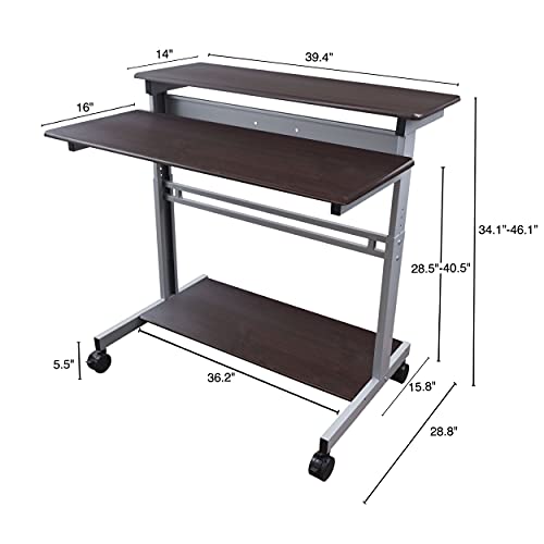 Stand Up Desk Store Rolling Adjustable Height Two Tier Standing Desk