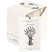 MYARO 12 Packs Lavender Scented Sachets for Drawer and Closet primary