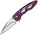 Buck Knives 290 Rush Folding Knife with One Hand Opening