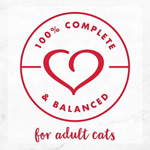 Fancy Feast Beef & Chicken Pate Cat Food - Image 5