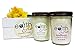 EarthGlo 100% Soy Candle Set ~ Two 8oz Jar Candles Lemongrass and Sandalwood ~Two Scented Candles in Gift Box! A Delicious Duo of Soy Candles with Lead Free Cotton Core Wicks!