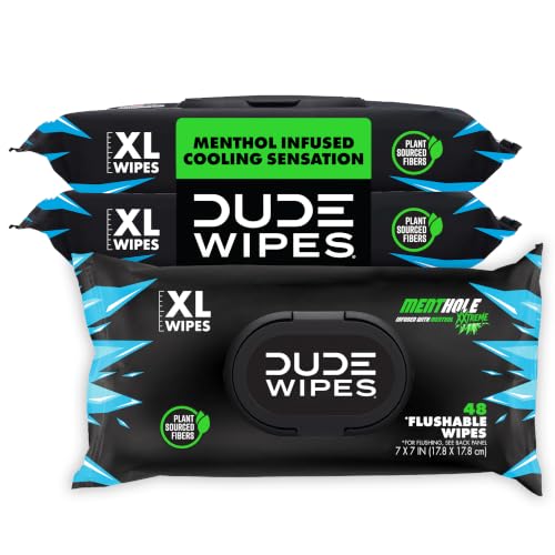 DUDE Wipes MentHOLE XXtreme Adult Flushable Wet