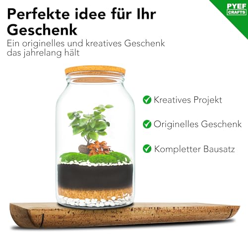 PYEF CRAFTS Bottle Garden Complete Set XL for Ecosystem in Glass - 4L Terrarium Plants for Biotope in Glass - Biosphere Terrarium Set - Kit Without Plant (Bottle Garden Large 4L)