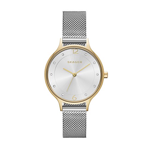 Skagen SKW2340 Ladies Anita Silver Mesh Strap Watch