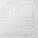 R 81 Styrofoam Direct Glue Up Ceiling Tile (20x20)