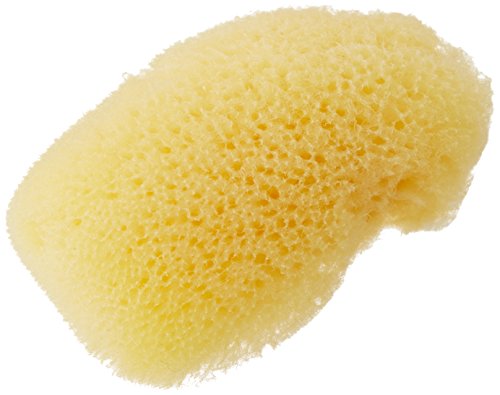 Pro Art PRO-S40 Sea Silk Sponge