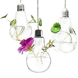 3 Hanging Light Bulb Plant Pot With Strings --- Planter Terrarium for Home Refurbishment – Stylish Decor to Purify air – Effortless setup – Ecological miniature garden - Perfect for small house plants