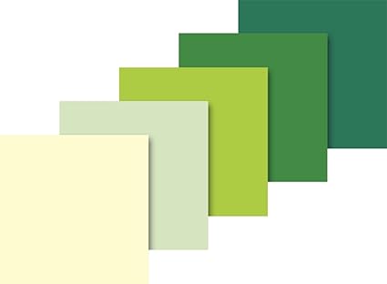 Heyda Papier De Soie Assortis 50 X 70 Cm 5 Couleurs Assorties Vanille Francaise Vert Pastel Vert Clair Vert Moyen Vert Fonce Amazon Fr Fournitures De Bureau