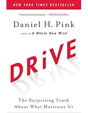 Drive: The Surprising Truth About What Motivates Us
