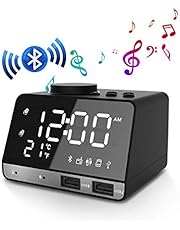 EIVOTOR Digitaler Wecker Radio BT Lautsprecher FM Radiowecker Uhrenradio mit Dual-Alarm, Snooze-Funktion, Innenthermometer, 4-stufige Helligkeit, 2 USB-Ladeanschluss, AUX, TF Karte, 12/24 Stunden