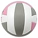 Baden Perfection Premium Leather Indoor Official Game Volleyball 13U to College Official Size + Weight NFHS + AVCA Approved