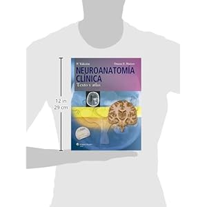 Neuroanatomía clínica: Texto y atlas (Spanish Edition)