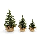 Darice Mini Christmas Tree with Burlap Base, Canadian 12