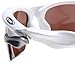 Oakley Men's OO9097 Fast Jacket Sunglasses, Polished White/Gold Iridium Polarized Lens, One Size