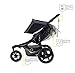 BOB Revolution Flex 3.0 Duallie Jogging Stroller, Graphite Black [Old Version]