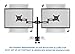 Mount-It! Dual Monitor Mount Arms | Double Monitor Desk Stand | Fits 2 Computer Screens 19 20 21 22 23 24 27 Inches | Heavy Duty Full Motion | Sturdy Double C-Clamp Base | VESA 75 100 Compatible