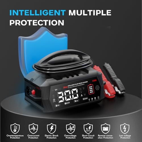 30A Car Battery Charger, Haisito 6V/12V/24V Charger and Holder for AGM Gel SLA EFB LiFePO4 9 Stage Auto Charger with LCD Display for Car Motorcycle