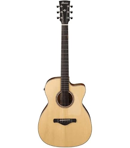 Amazon.com: Ibanez PA230E Acoustic-Electric Guitar - Natural Satin