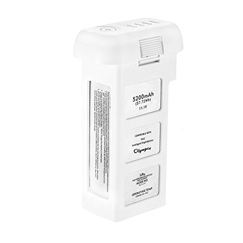 Replacement DJI Phantom 2 Battery (11.1V, 5200mAh, Li-Pol) for Phantom 2, Phantom 2 Vision and Phantom 2 Vision+