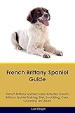 French Brittany Spaniel Guide French Brittany Spaniel Guide Includes: French Brittany Spaniel Traini by 
